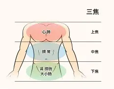 开云入口-?jD奲yL5*剖?窠?cf葠>%!鹴??w?ume欜???也臓ξ??(dojki中国版)
